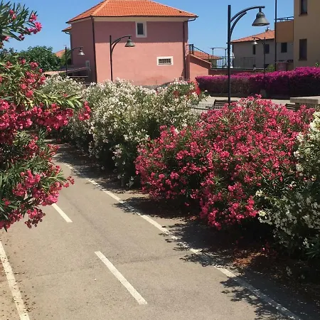 Sun, And Bike *