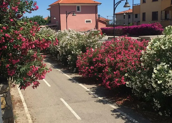 Sun, And Bike *